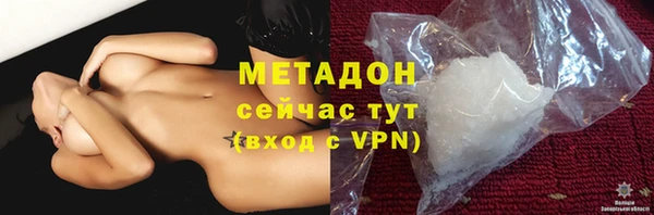 гашик Алексин