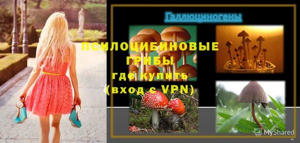 прущий лед Армянск